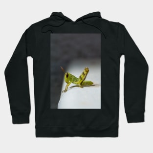 Hopper Hoodie